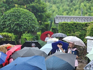 Microsoftteamsimage_1