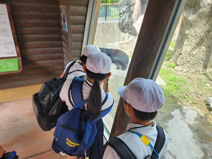 Microsoftteamsimage_10