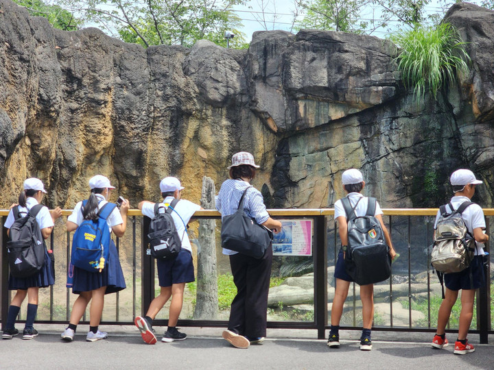 Microsoftteamsimage_11_2