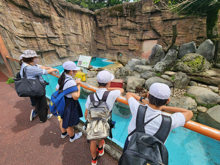 Microsoftteamsimage_12