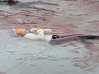 Img_3758