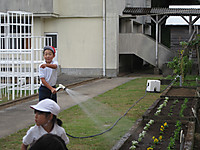 Img_4879 Img_4879