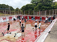 Image_7