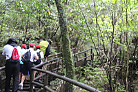 Img_0895