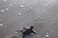Img_1844 Img_1844