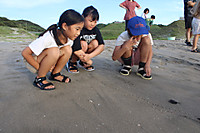 Img_1849 Img_1849
